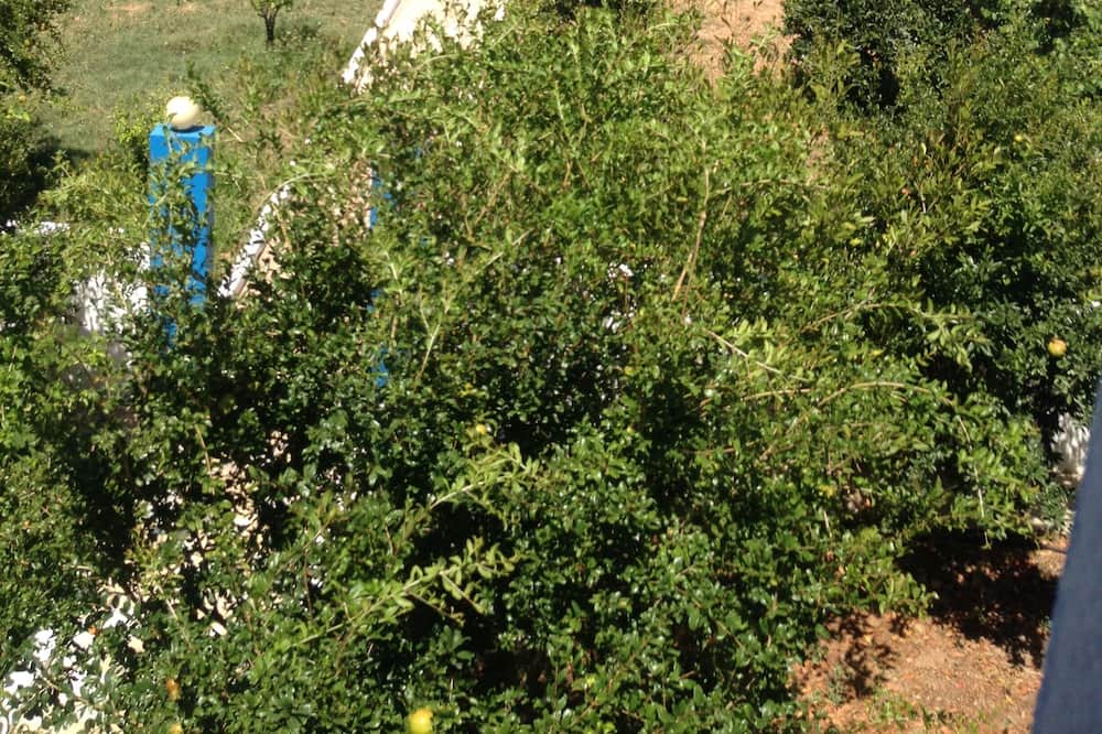 Photo of Outdoor in Pilalimata