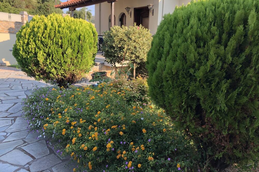 Photo of Outdoor in Lefokastron