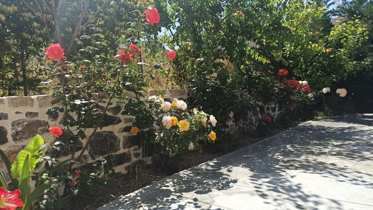 Photo of Outdoor in Petrokefalion