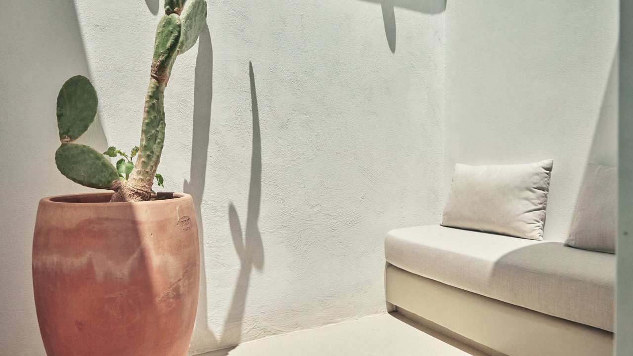 Photo of Outdoor in Faros Armenistis