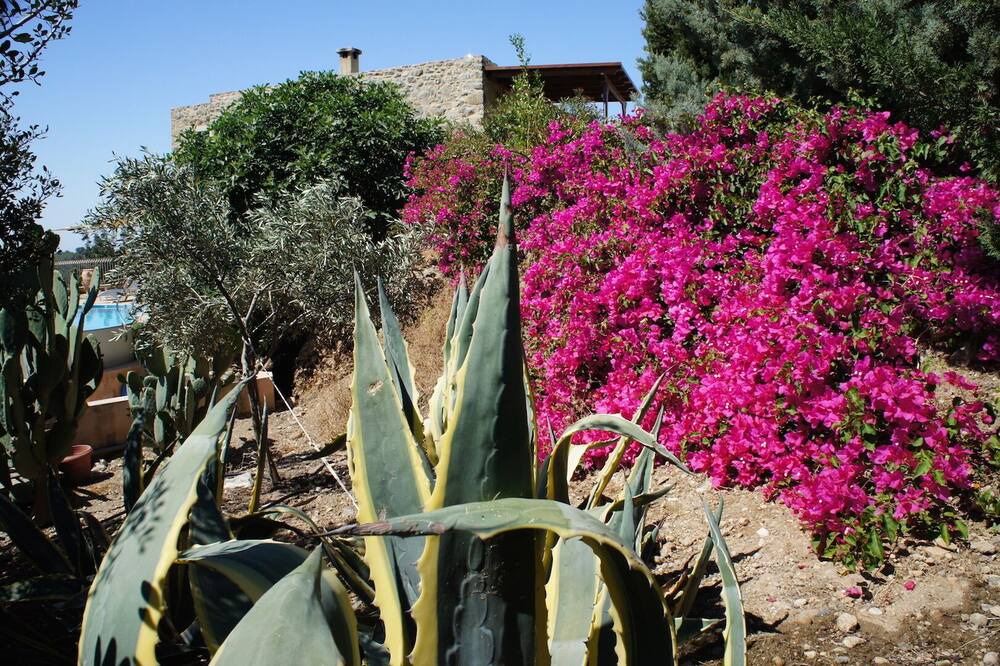 Photo of Outdoor in Faistos