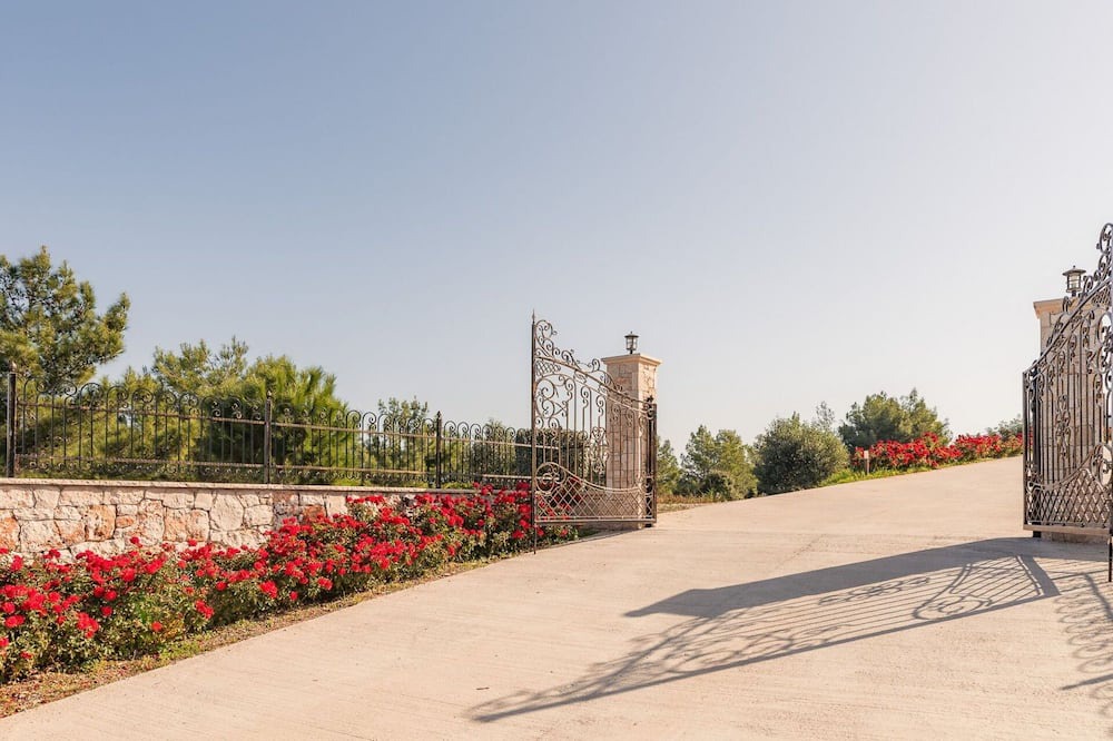 Photo of Others in Samos