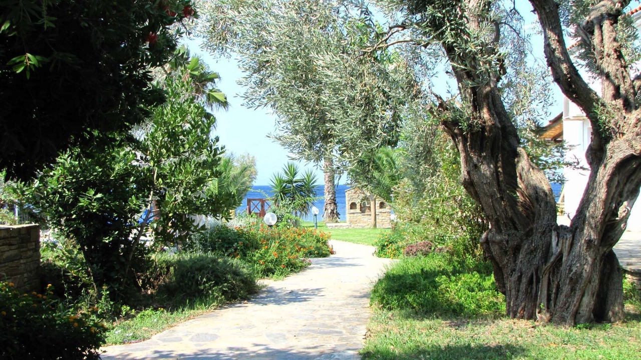 Photo of Outdoor in Lefokastron
