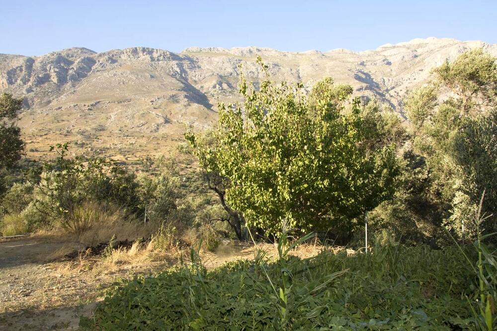 Photo of Others in Akoumia