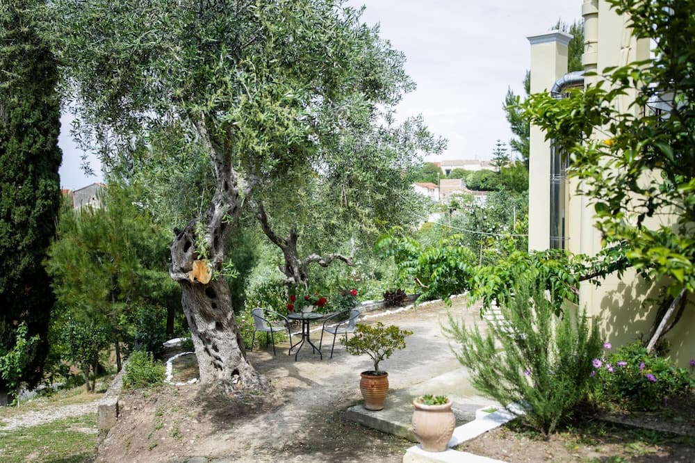 Photo of Outdoor in Sfakera