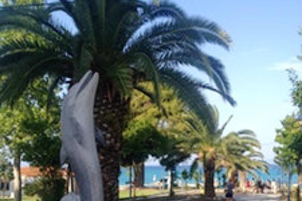 Photo of Others in Haniotis