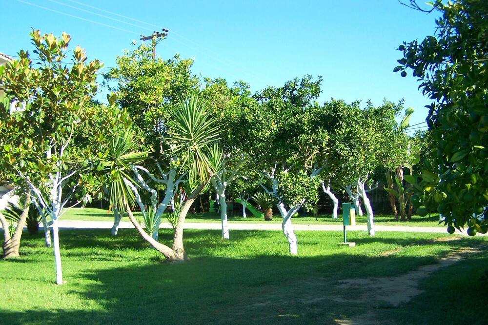 Photo of Outdoor in Agios Andreas