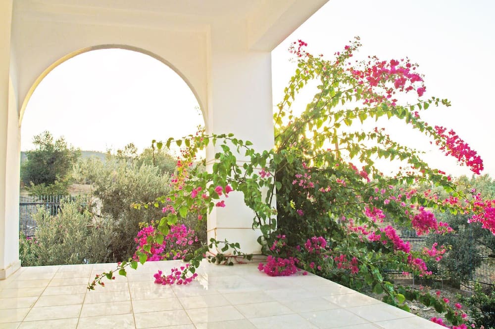 Photo of Outdoor in Pigadia