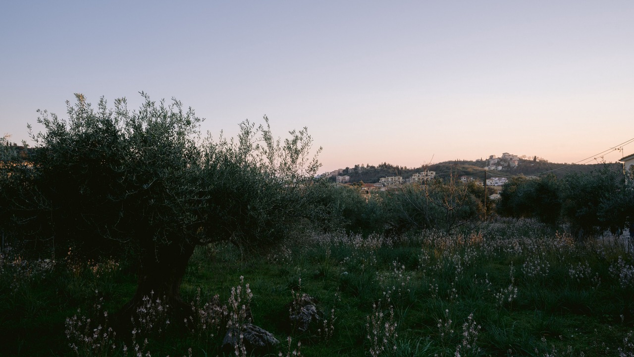 Photo of Outdoor in Sivota
