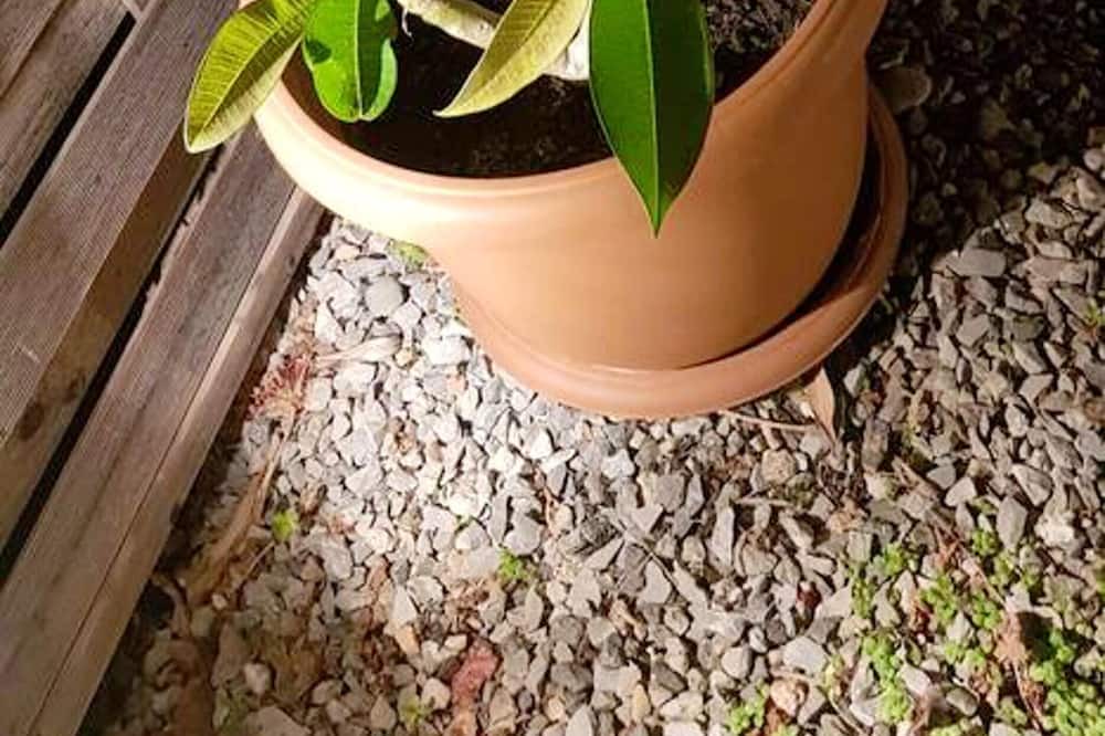 Photo of Outdoor in Loutra