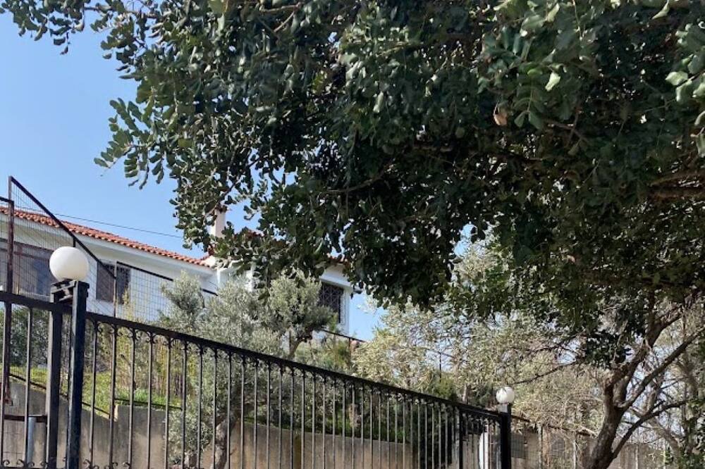 Photo of Others in Rafina