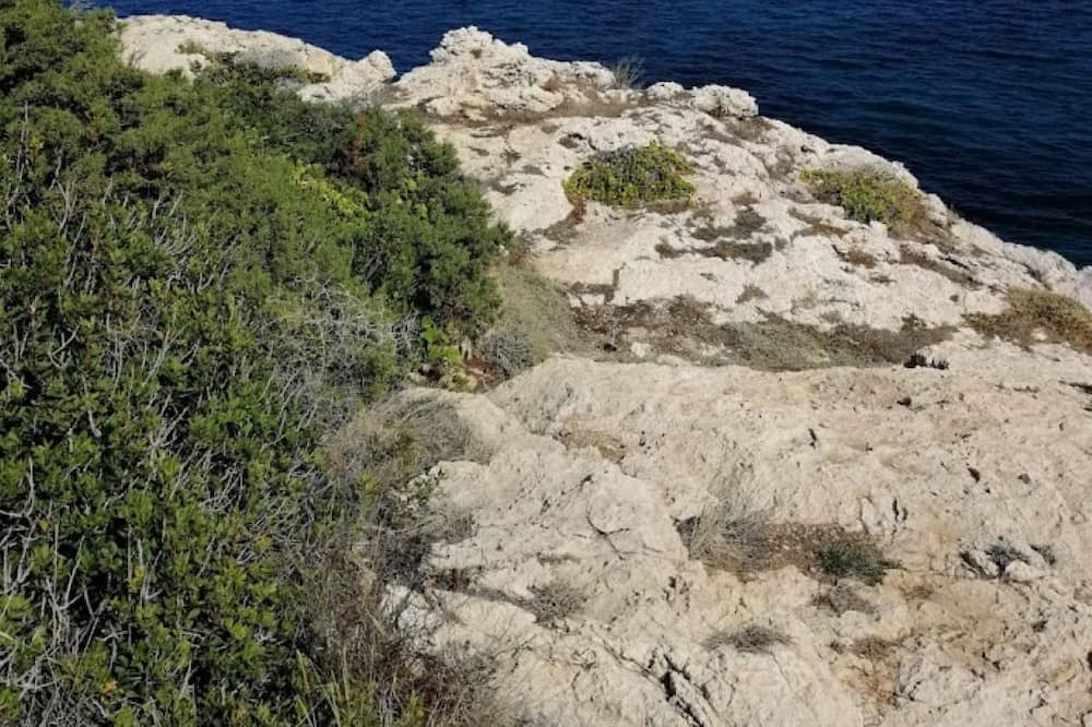 Photo of Others in Rafina