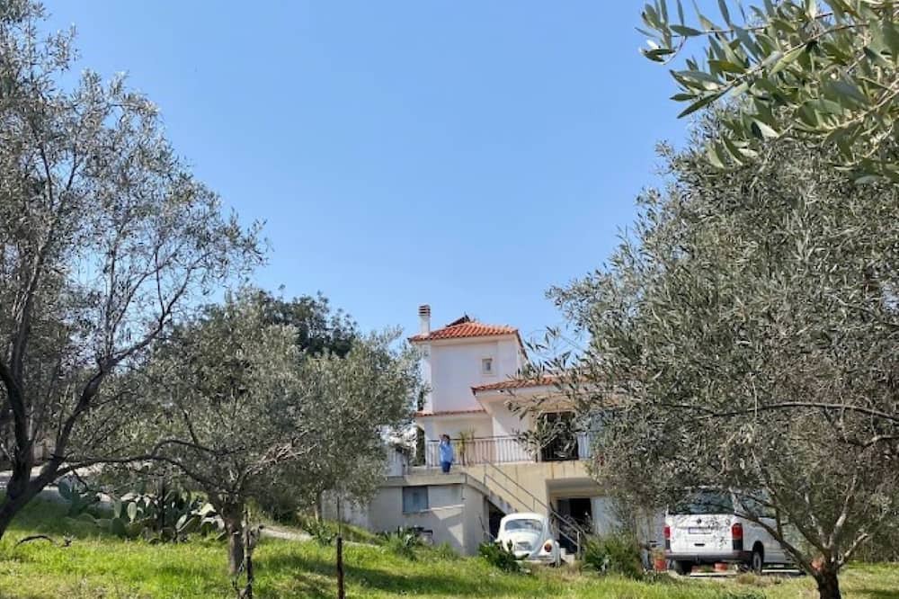 Photo of Outdoor in Rafina