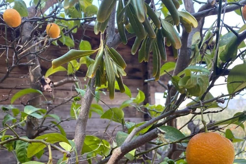 Photo of Outdoor in Rafina