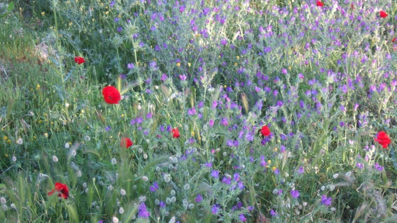 Photo of Outdoor in Archipolis
