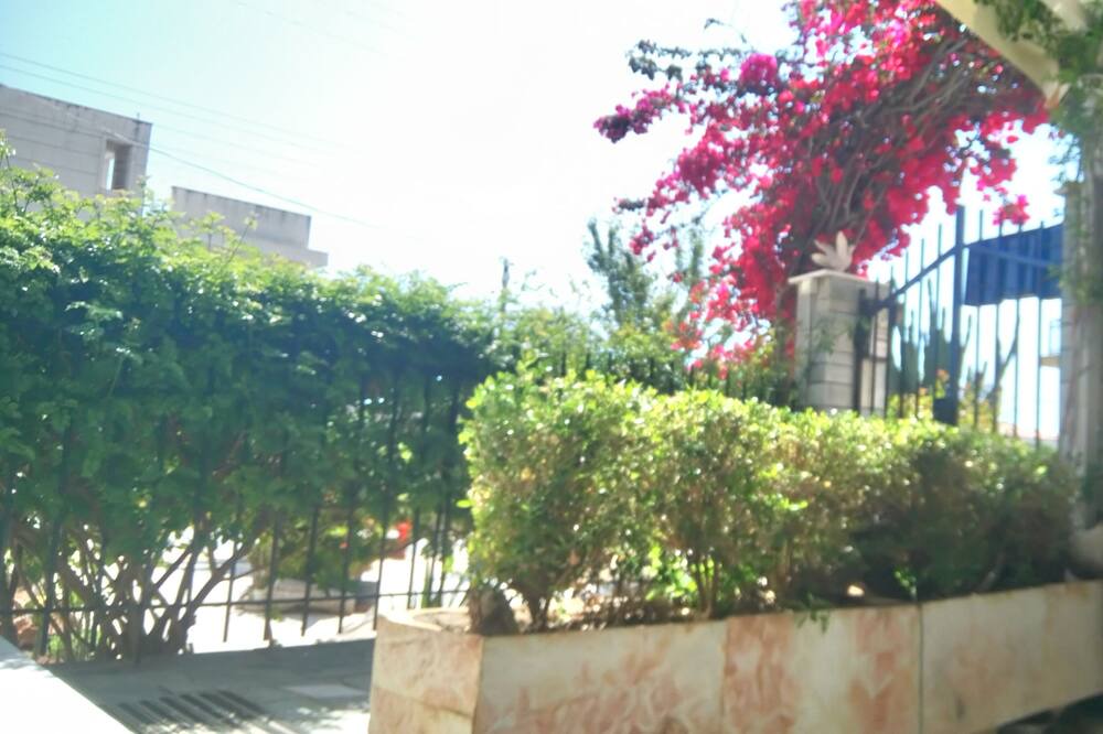 Photo of Others in Nea Makri