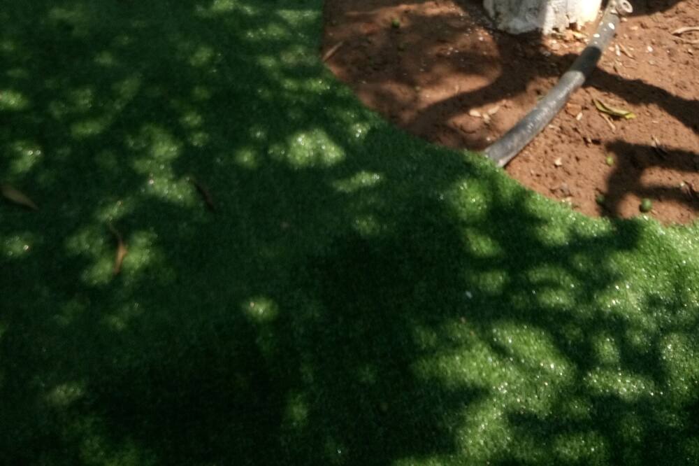 Photo of Outdoor in Nea Makri