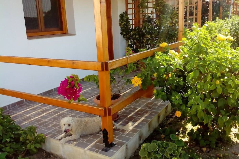 Photo of Others in Ikaria