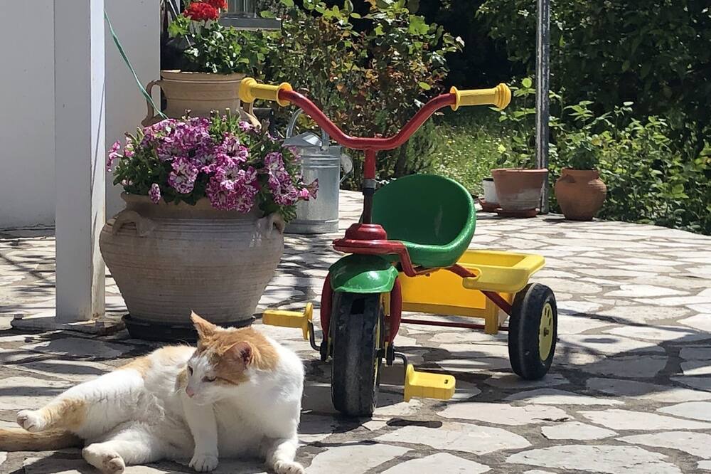 Photo of Outdoor in Igoumenitsa