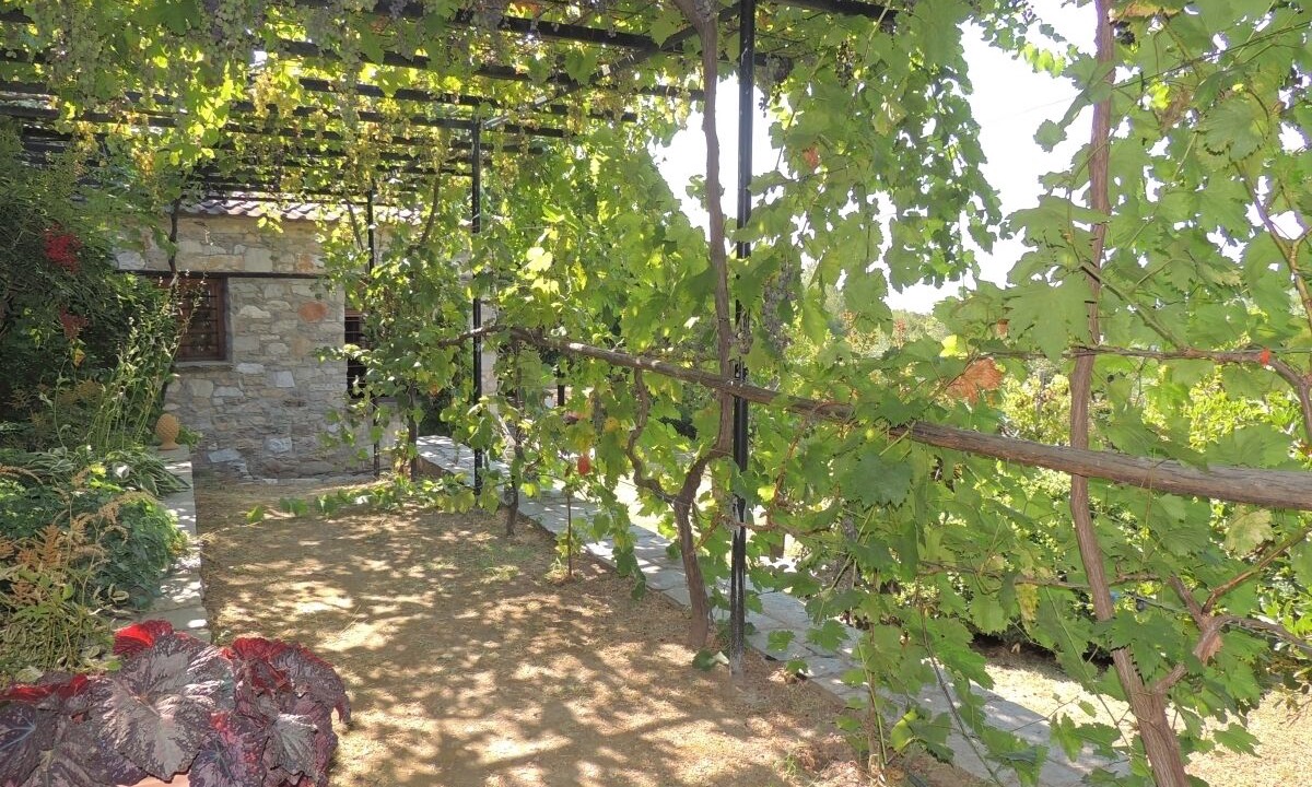Photo of Outdoor in Megalos Prinos