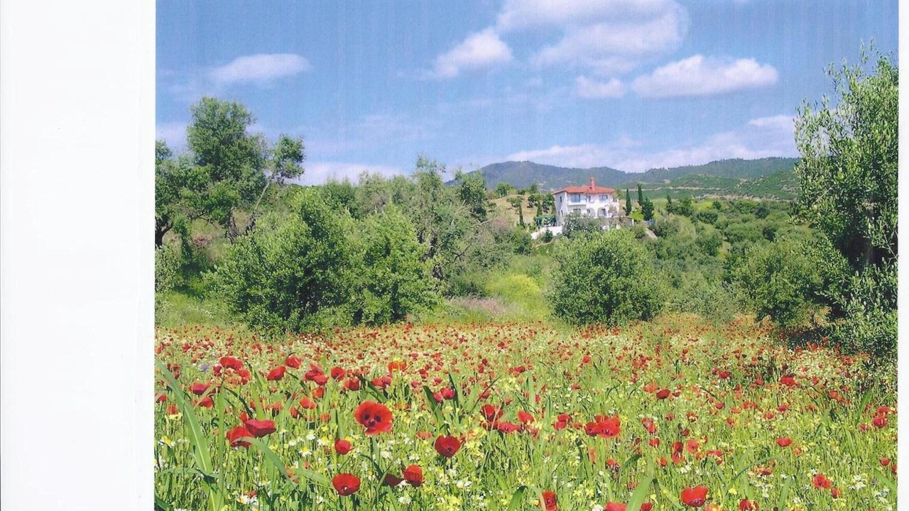 Photo of Outdoor in Sarti
