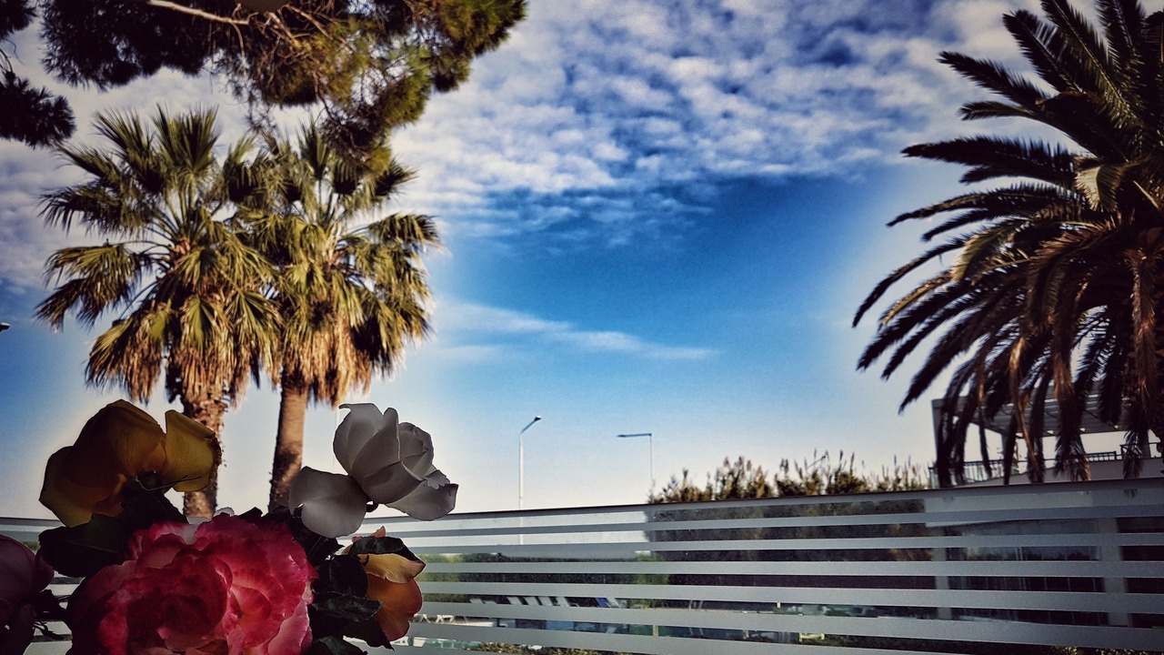 Photo of Patio Balcony in Neapoli