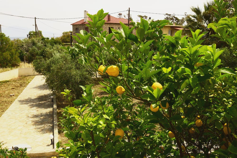 Photo of Outdoor in Evrostina