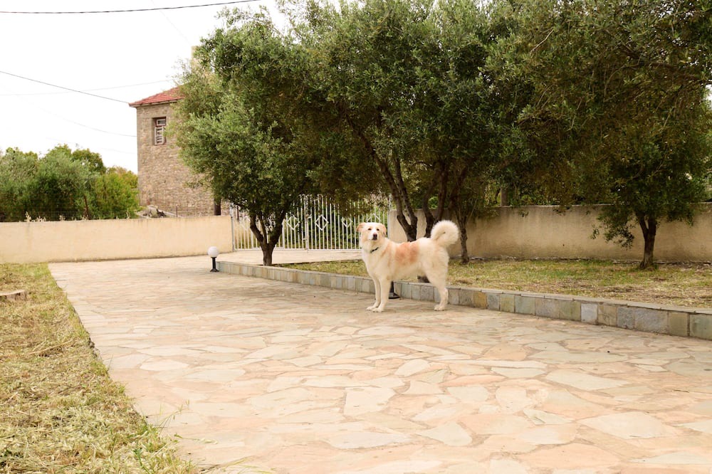 Photo of Outdoor in Evrostina