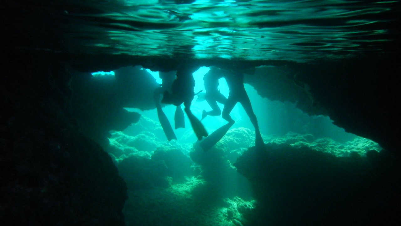 Photo of Others in Palaiochora