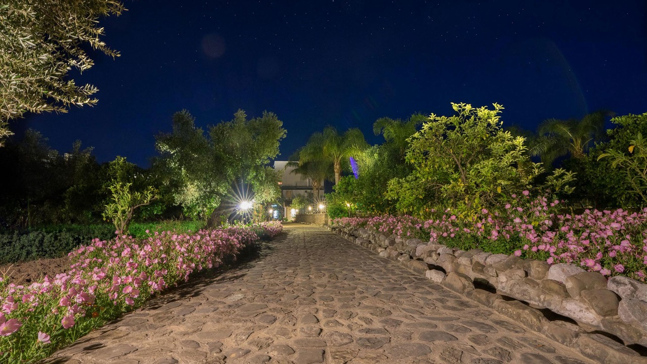 Photo of Outdoor in Messinia
