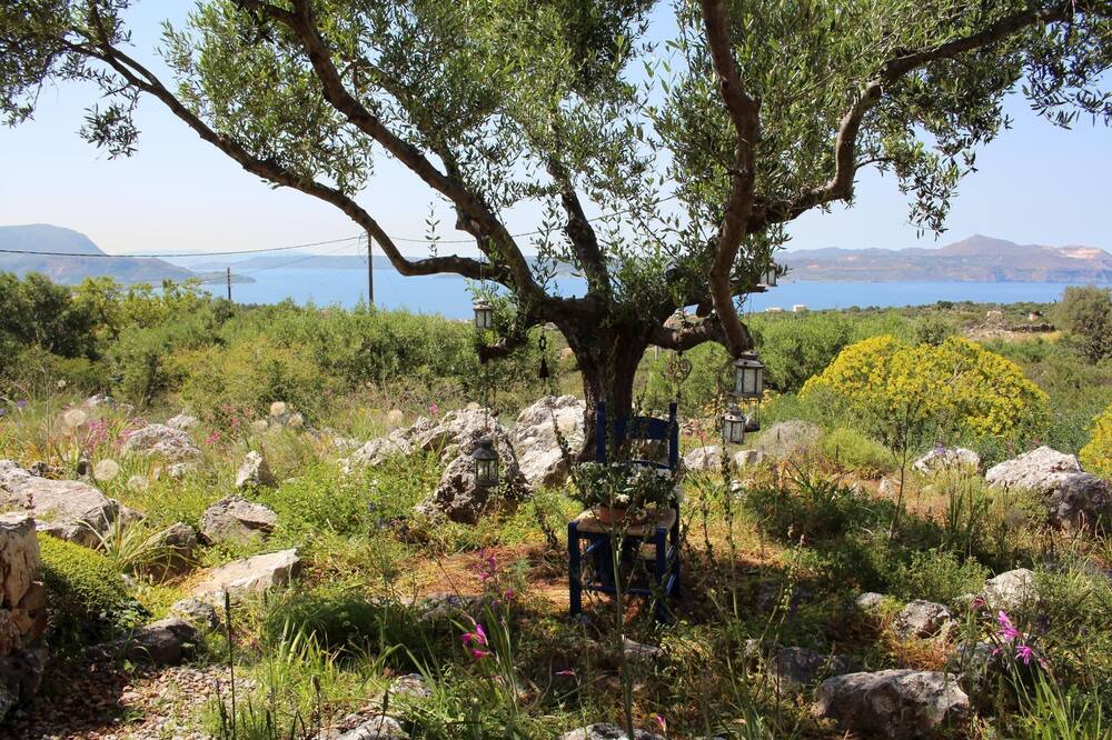 Photo of Outdoor in Drapanos