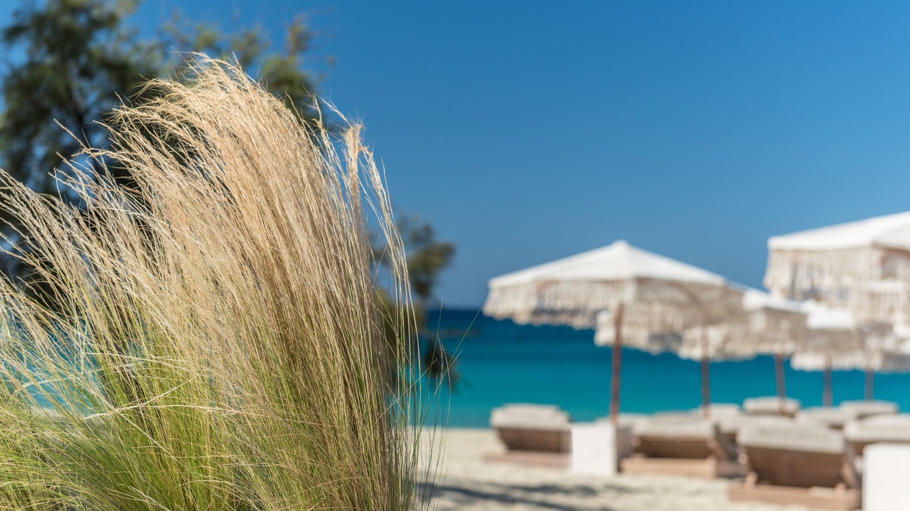 Photo of Others in Agios Prokopios