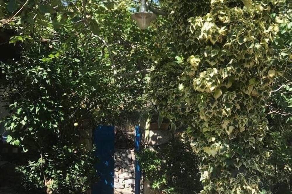 Photo of Outdoor in Minoa Pediada