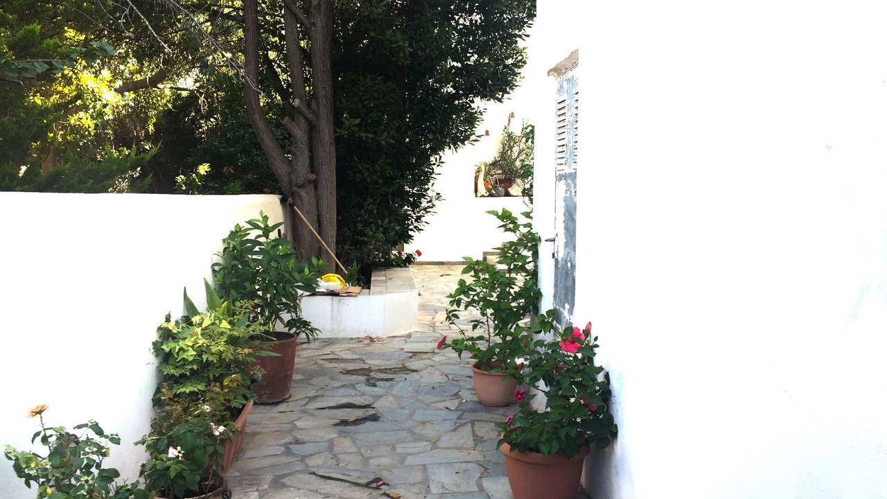 Photo of Outdoor in Paleopolis
