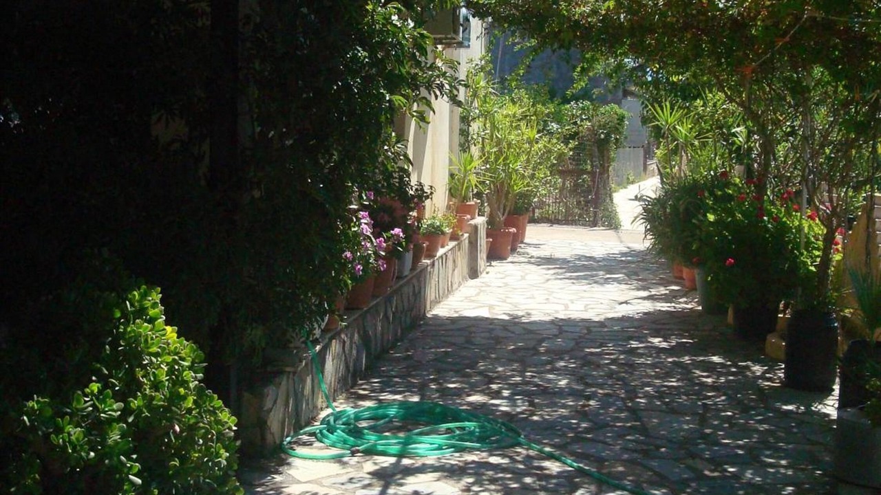 Photo of Outdoor in Lygia
