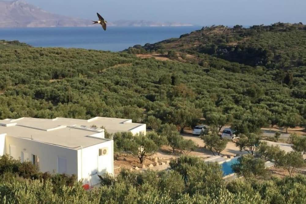 Photo of Outdoor in Plakalona