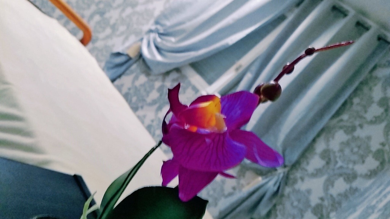 Photo of Others in Spata-Artemida