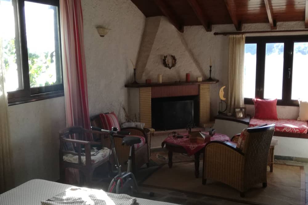 Photo of Livingroom in Melissopetra