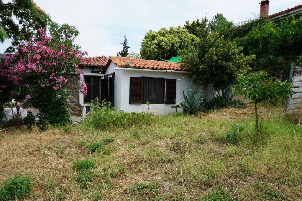 Photo of Outdoor in Nikita