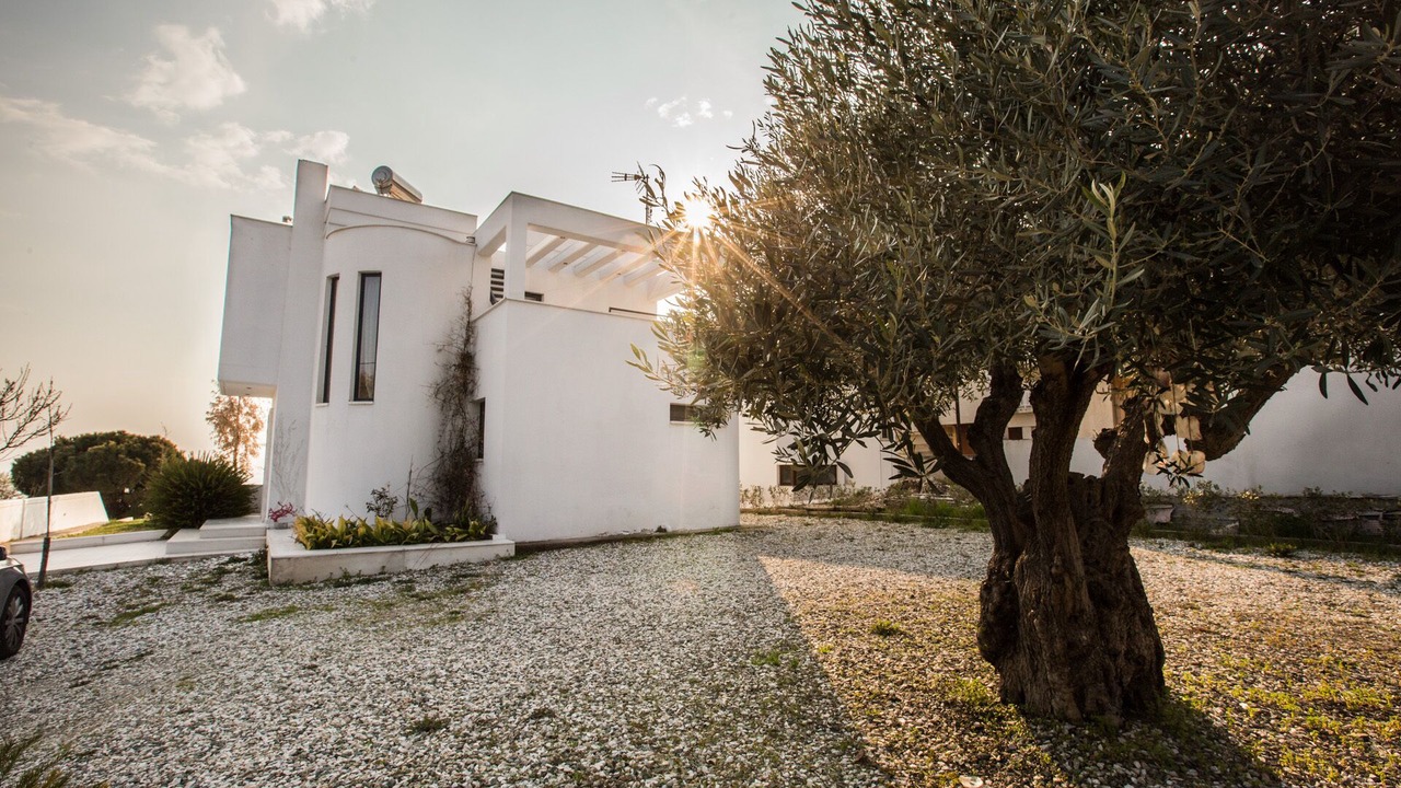 Photo of Outdoor in Nea Moudania
