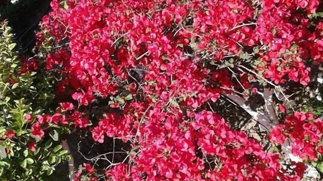 Photo of Outdoor in Vassiliki