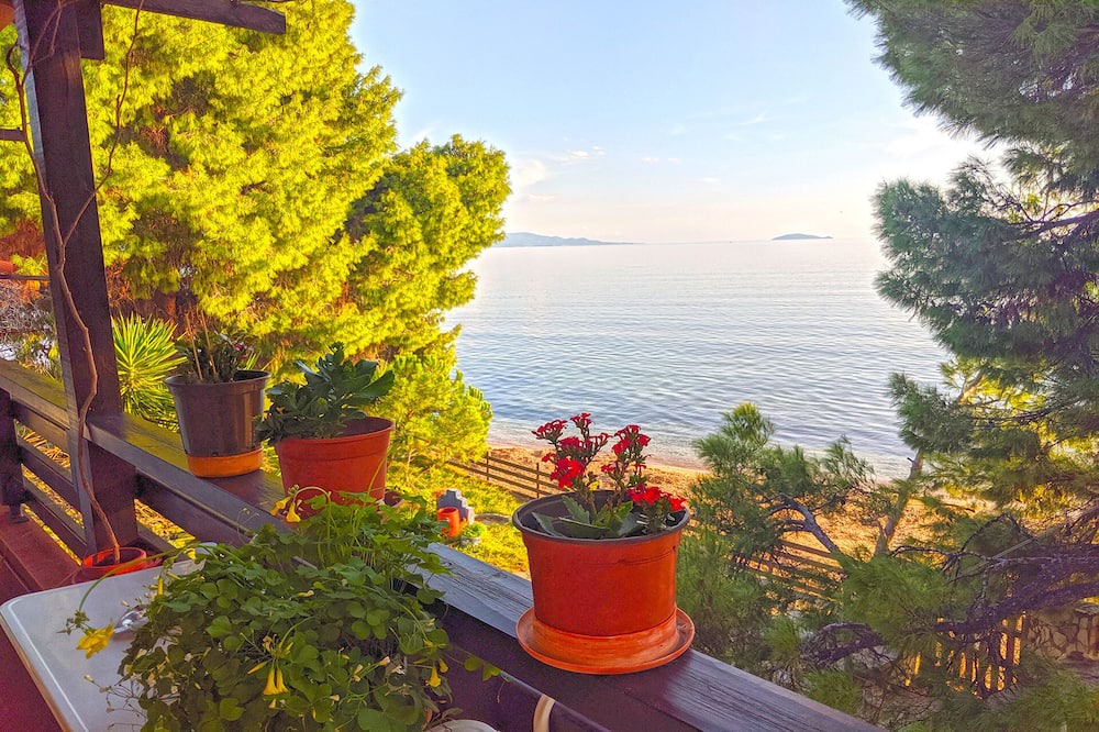 Photo of Others in Metamorfosi