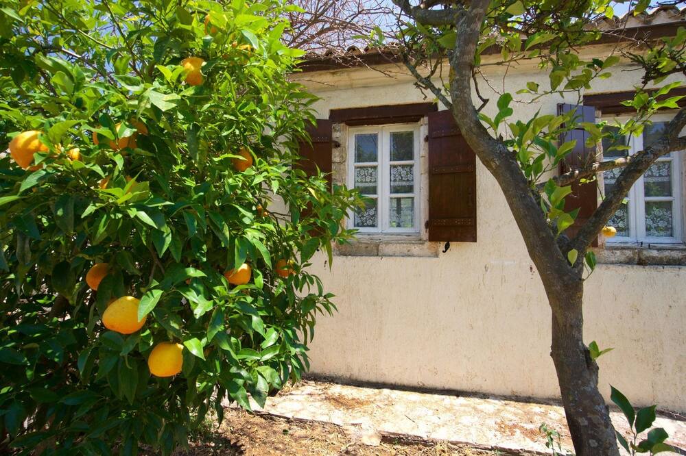 Photo of Others in Mazarakata