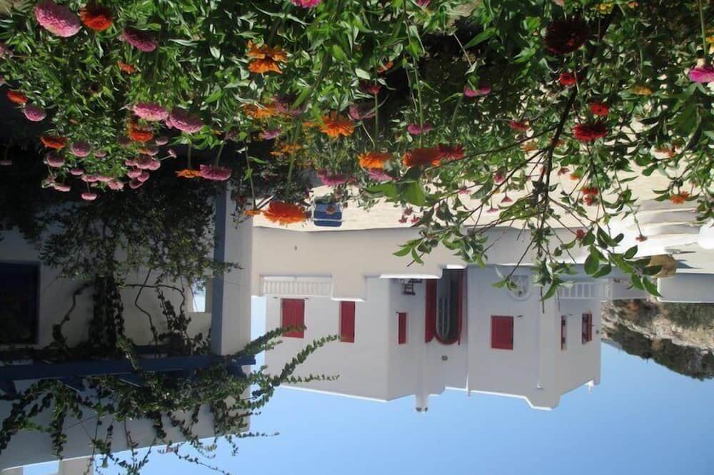 Photo of Outdoor in Naxos