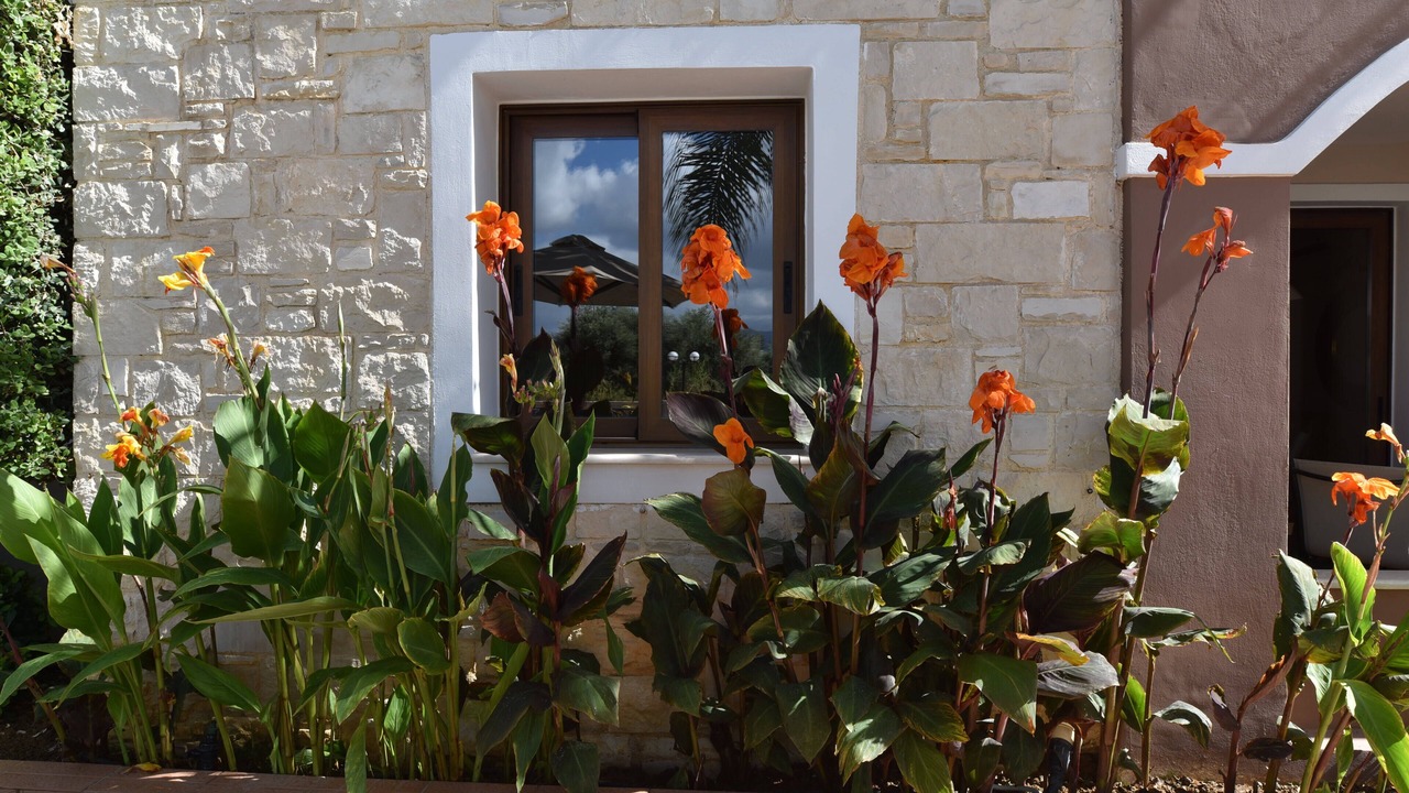 Photo of Outdoor in Daratsos