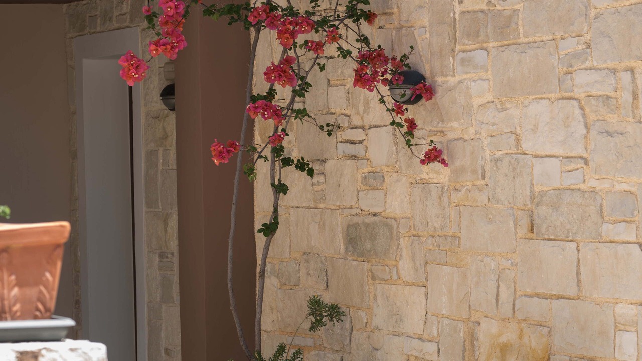 Photo of Others in Daratsos