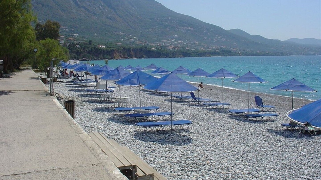 Photo of Others in Diasella