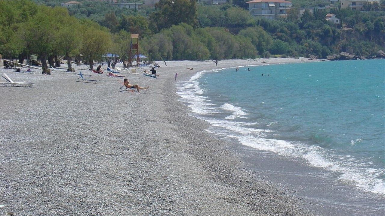 Photo of Others in Diasella