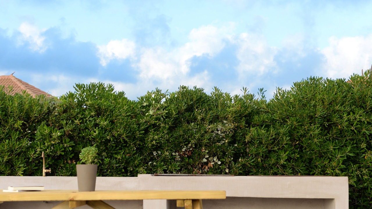 Photo of Outdoor in Marathopoli