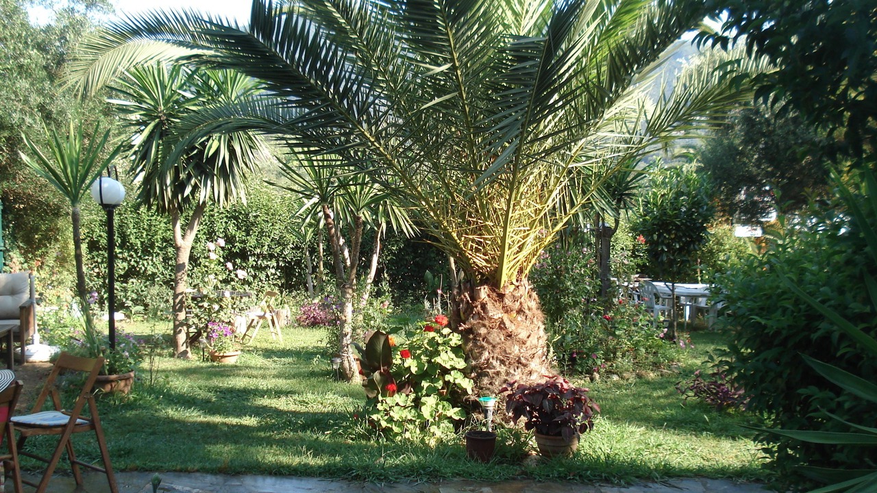 Photo of Outdoor in Kato Korakiana
